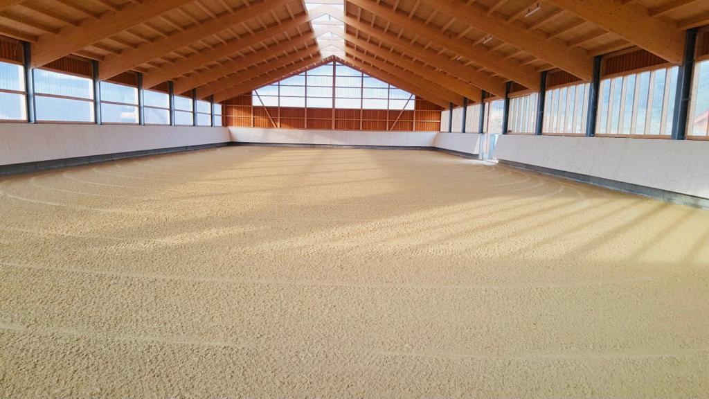 Große Reithalle mit Holztragwerk, seitlichen Fenstern und vorbereitetem Reitboden